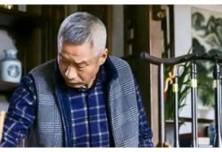 刘佩琦演的电视剧,电视剧中的传奇人生